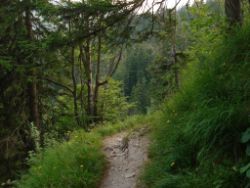 2013-07-20_Regina-F-Rau_Kochel-Rabenkopf (491).JPG